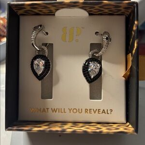 BP Silver and Black Teardrop Earrings